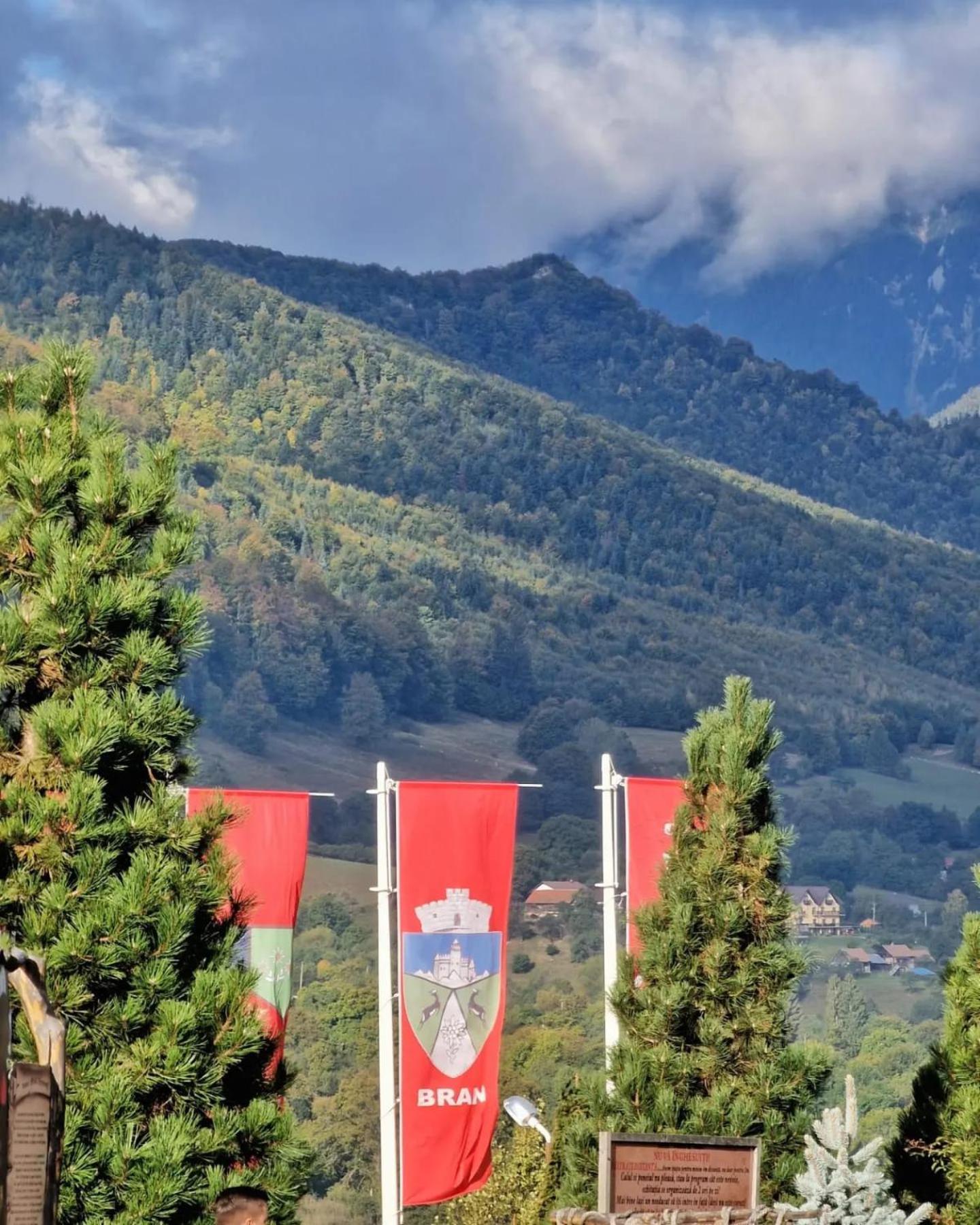 Club Vila Bran Бран Экстерьер фото