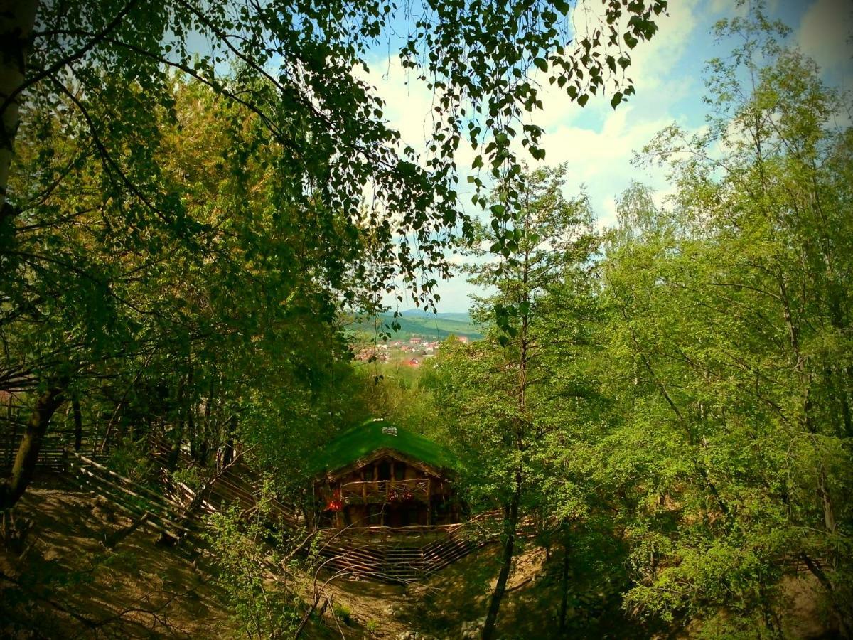 Club Vila Bran Бран Экстерьер фото
